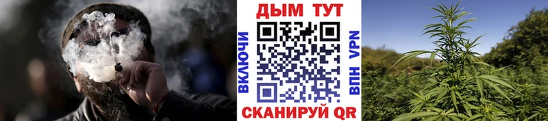 Виды наркотиков купить Чита АМФ кракен как войти Мефедрон ГАШ COCAIN Конопля