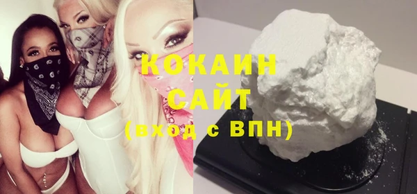 эйфоретик Няндома