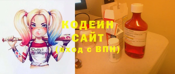 эйфоретик Няндома