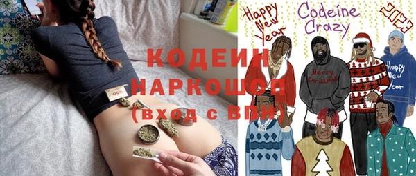 эйфоретик Няндома