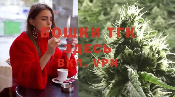 эйфоретик Няндома