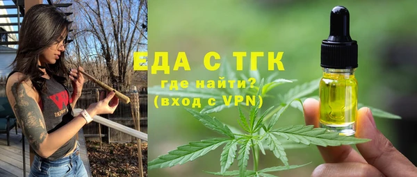 эйфоретик Няндома