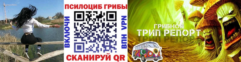 Галлюциногенные грибы Psilocybine cubensis  Чита 