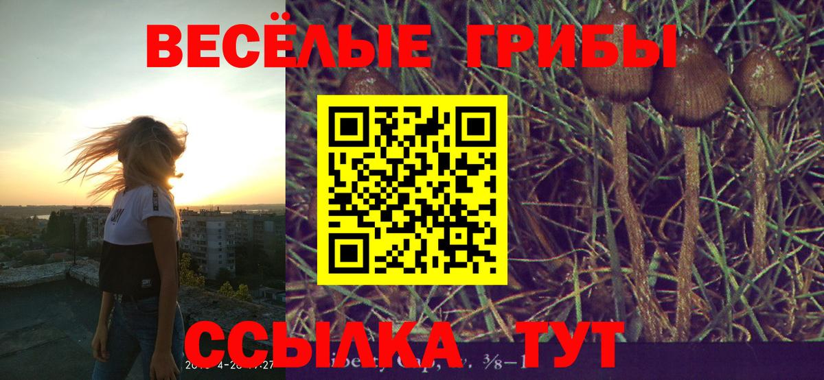 Чита  Галлюциногенные грибы ЛСД  Вход с VPN 